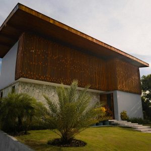 pexels-alef-morais-336305364-35361410